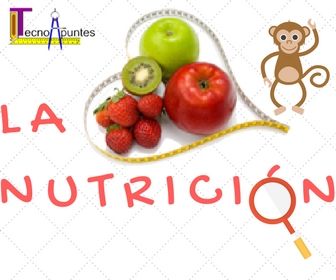 Test online La Nutricion Ciencias Naturales