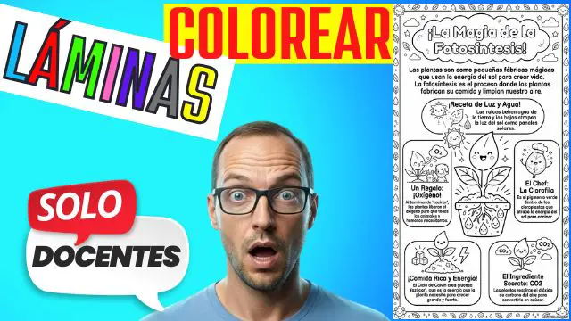 crea láminas para colorear en 2 minutos_
